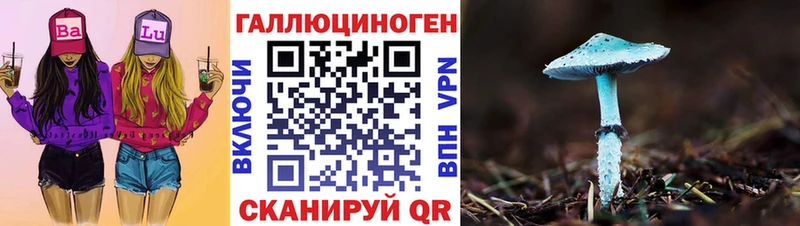 как найти закладки  Задонск  Псилоцибиновые грибы Psilocybine cubensis 